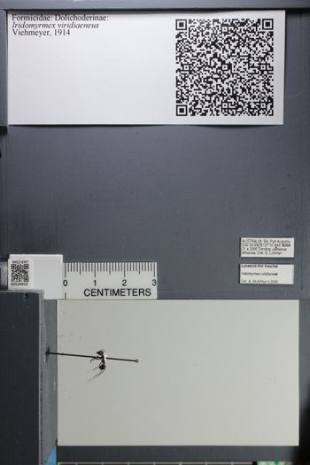 Media type: image;   Entomology 524910